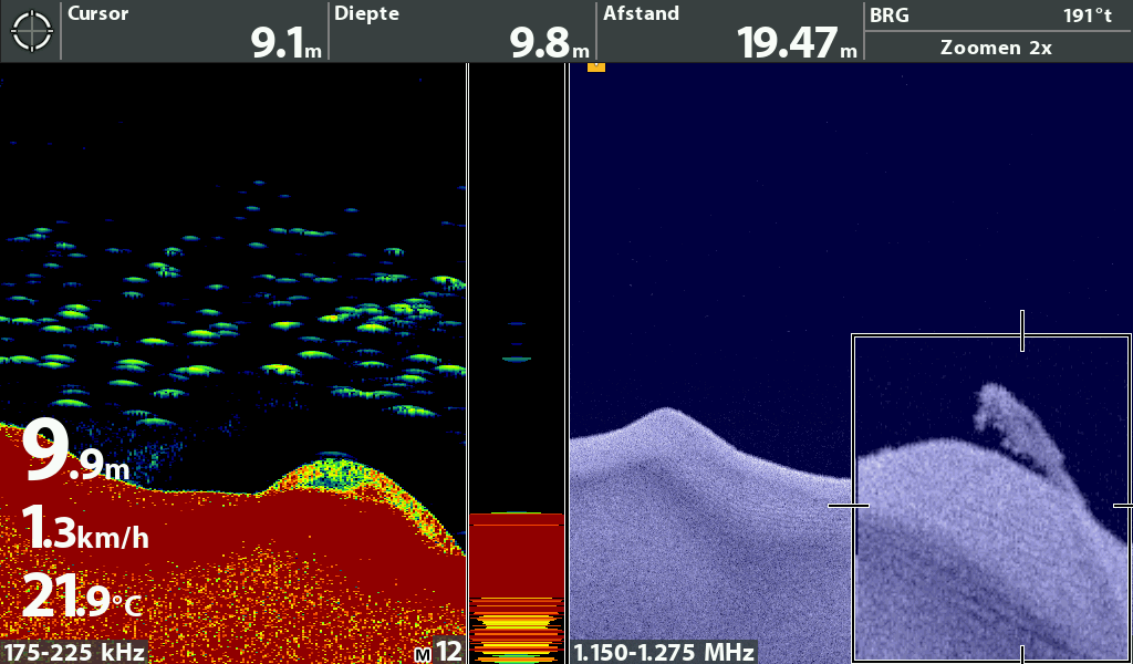 2D sonar en down imaging