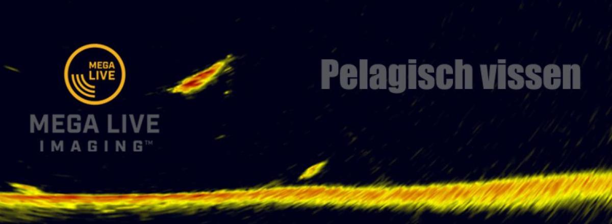 Pelagisch vissen met Humminbird Mega Live Imaging