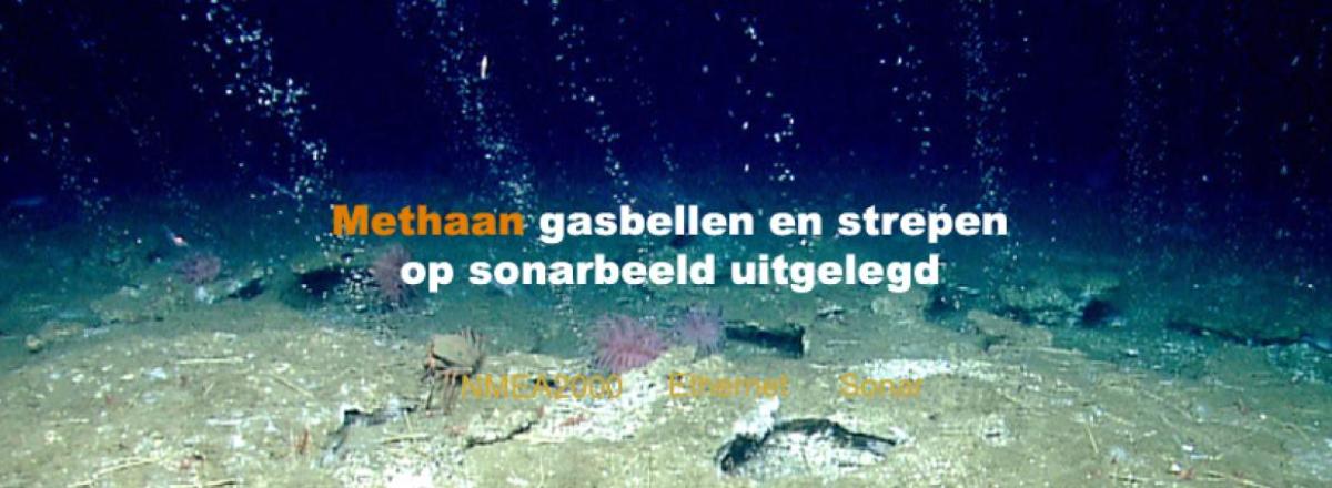 Gasbellen zichtbaar op 2D CHIRP sonar: geen storing maar natuurlijke bodemactiviteit
