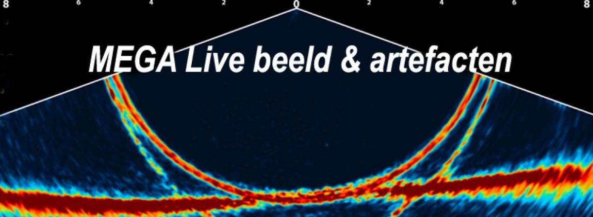 MEGA Live arch (halve cirkel) in beeld | oorzaak, uitleg en oplossingen