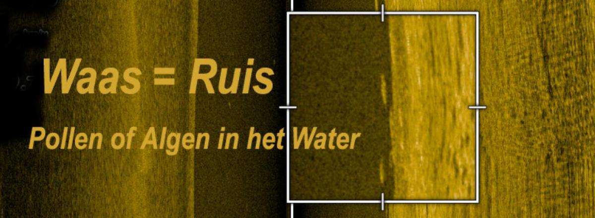 Ruis op sonarbeeld door pollen of algen in het water